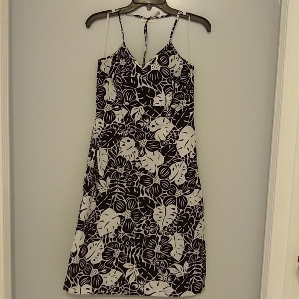 New York and Company